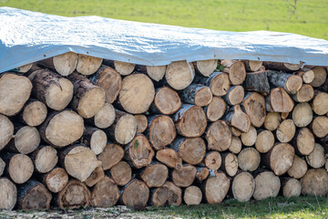 Abgedecktes Brennholz auf Wiese © focus finder