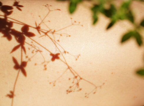From above shadow of delicate thin plant on body of crop unrecognizable person on sunny day