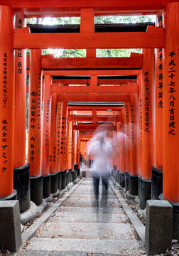 Tourists on the move walking through the wooden arches of Torii in Japan