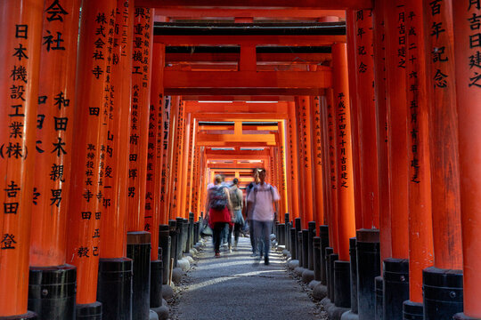 Tourists on the move walking through the wooden arches of Torii in Japan
