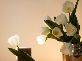 A bouquet of tulips in a vase. The flower buds are open and opposite the vase is a single flower on a wooden cube