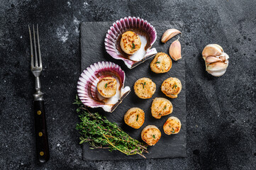 Fried seafood scallops meat with butter in a shells. Black background. Top view