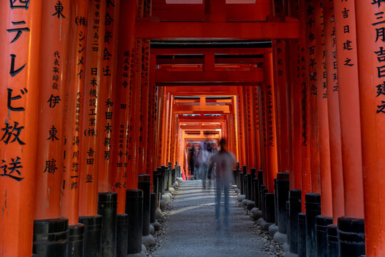 Tourists on the move walking through the wooden arches of Torii in Japan
