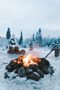 Burning fire among stones and overgrown coniferous trees in woods in wintertime
