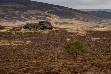 Bleak winter panoramic view of Baldstone, and Gib Torr in the Peak District National Park.
