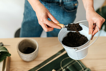 From above of crop anonymous female horticulturist with small bucket and soil on trowel in house