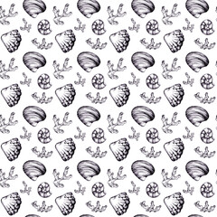 Seashells and corals seamless pattern on a white background. Black linear drawing. Summer.