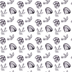Seashells and corals seamless pattern on a white background. Black linear drawing. Summer.