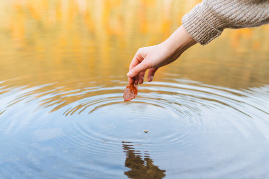 Crop anonymous female tourist with autumn leaf reflecting in water with circles in daylight