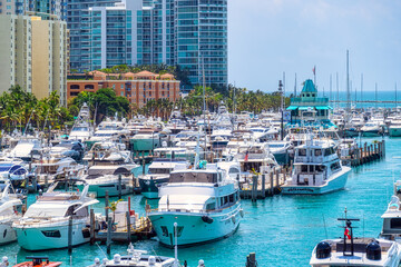 Miami marina full of recreational yachts, Florida, USA