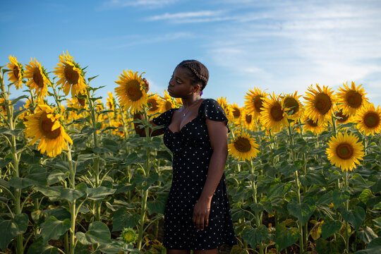 Side view of tranquil African American female delicately touching blooming sunflower while enjoying nature in field in summer