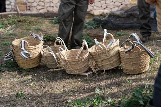 Crop unrecognizable farmers standing near wicker baskets in yard during harvesting season in countryside on sunny day