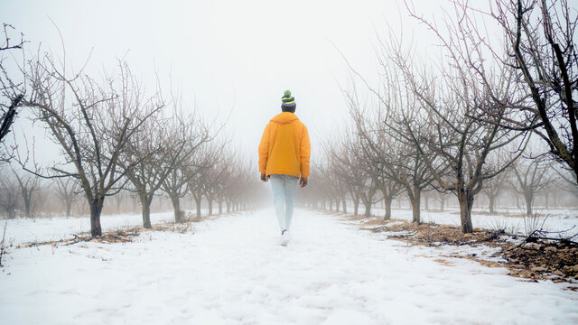 Full body back view of unrecognizable male in warm winter clothes strolling on snowy path covered with snow in park