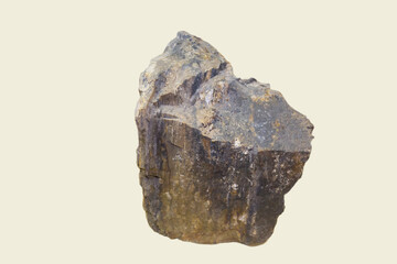 The trunk of a petrified tree is a fragment of lilac-yellow color isolated on a white background. Paleontology fossils.