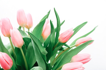 Bouquet of gently pink tulips on a light background, close-up.