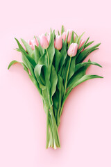 Bouquet of gently pink tulips on a light pink color background, top view