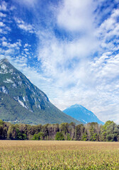 Fototapeta premium Agriculture of France