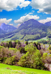 Naklejka premium Agriculture of France