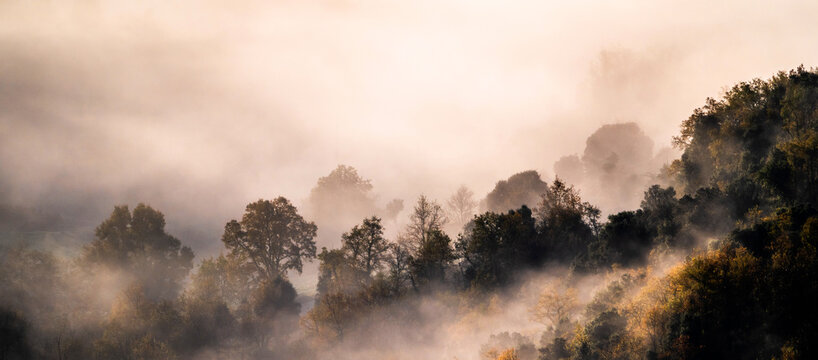 Spectacular landscape of fluffy clouds floating over mountains covered with lush trees in sunny morning