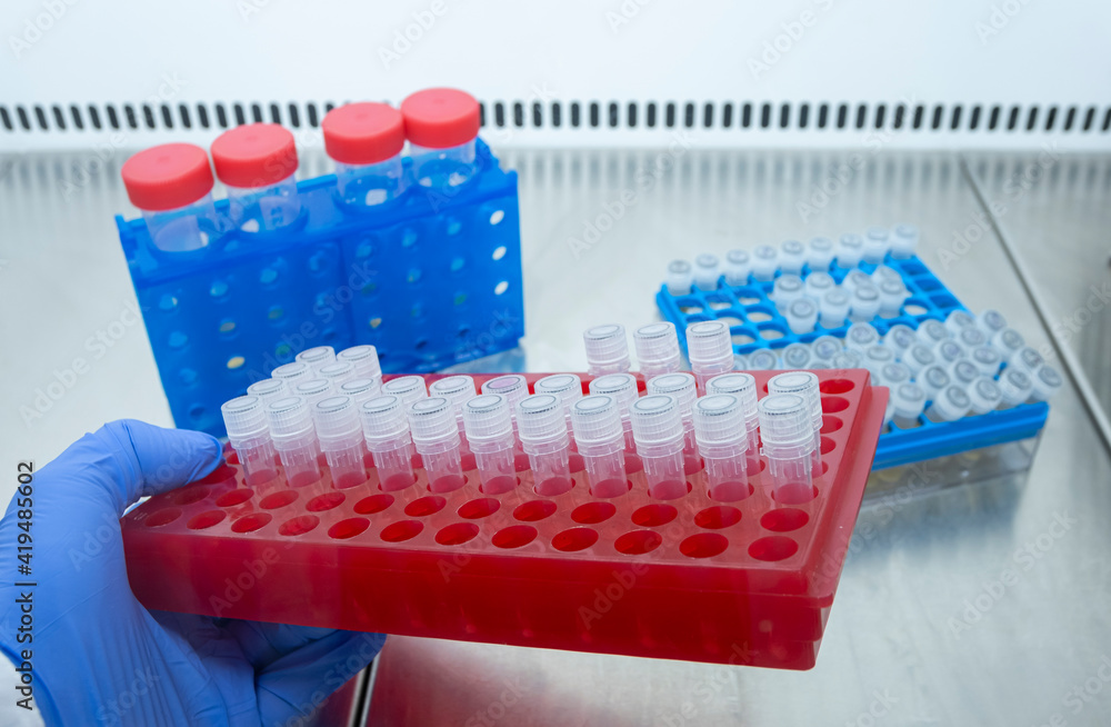 Wall mural Close-up, a scientist holds in his hand a red laboratory rack with small closed test tubes in front of other laboratory racks.