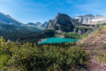 summer wild flowers  with turquoise colored Grinnell Lake  with Mt.Gould on the background in Glacier National Park in Montana.