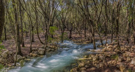 Ses Fonts Ufanes, a Nature preserve with natural water coming from the ground, landmark with...