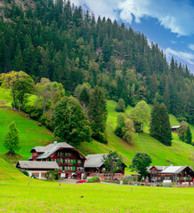 Houses in the meadows