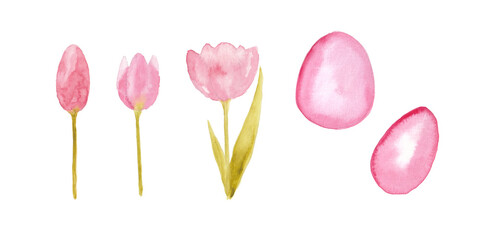 Obraz na płótnie Canvas Pink Easter watercolor set. Tulips and eggs