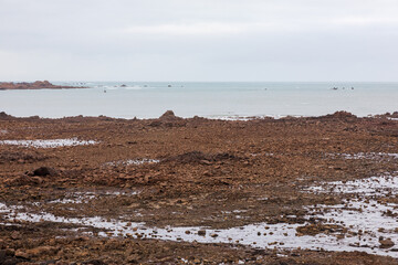 Küste in der Bretagne bei Ebbe