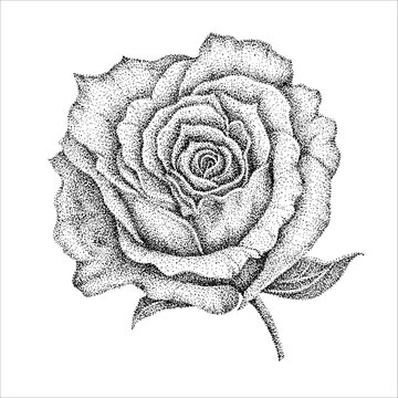 点描画 Images Browse 139 Stock Photos Vectors And Video Adobe Stock 点描画 Images Browse 139 Stock Photos Vectors And Video Adobe Stock