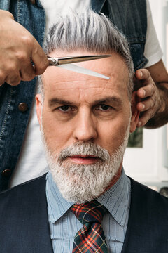 Crop faceless barber cutting gray hair of self assured middle aged elegant male client with beard in suit and tie