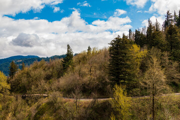 Historic Columbia River Highway