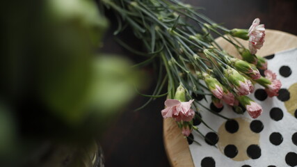Goździki różowe kwiaty leżące na serwetce w kropki czarne - obrazy, fototapety, plakaty