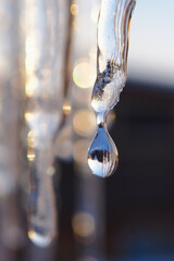 An icicle and a drop of meltwater in the rays of the sunset close-up. Thaw and snowmelt. Bright...