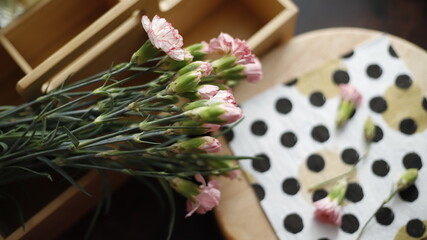 Goździki różowe kwiaty leżące na serwetce w kropki czarne