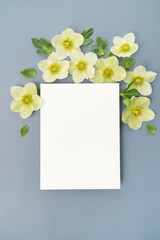 Fresh floral hellebore flat lay with blank stationery