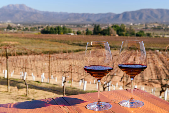 Two glasses of red wine in Valle de Guadalupe, Mexico - prominent winemaking region of the Baja Peninsula