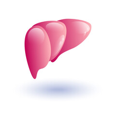 Human liver icon. Flat illustration vector icon for web design. A healthy liver and a liver with cirrhosis. Medical solidarity day concept. Sick liver, Hepatitis