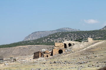 ruins of the castle