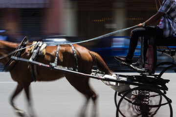 Horse drawn cairrage with motion blur.