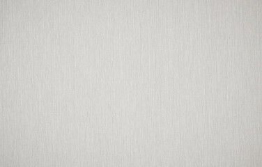 Light Grey Canvas Background