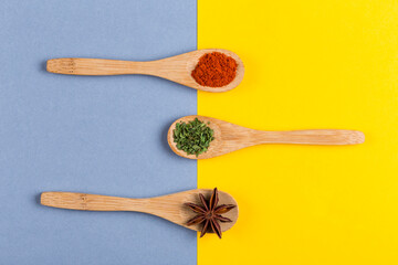 Wooden spoons with star aniseed, parsley and red pepper powder on a double colored background