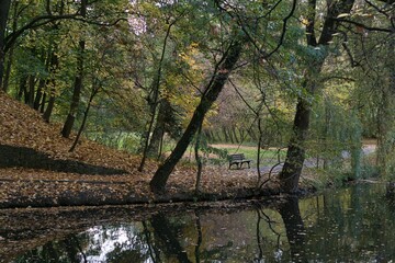 pusty jesienny park, ścieżka pokryta kolorowymi liśćmi, ławka czeka na spacerowiczów, w stawie odbijają się drzewa