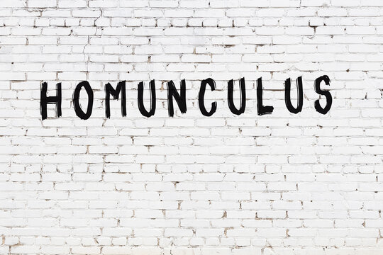 White wall with black paint inscription homunculus on it
