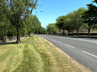 View along the main, Bradford to Thornton road, with grass verges, and old trees in, Bradford, Yorkshire, UK