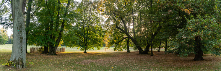 Naklejka premium Panorama from Public Park
