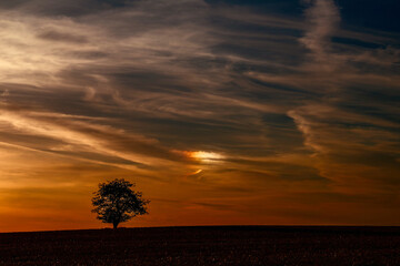 Soledad al atardecer