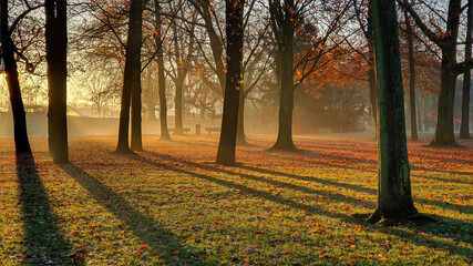 Autumn park godrays back light sunrise sunset