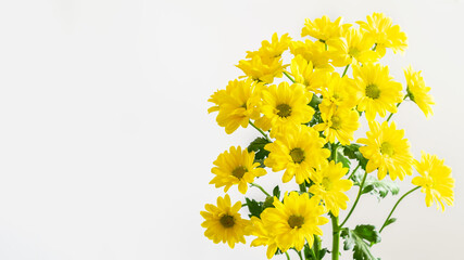 Yellow chrysanthemums bouquet on the white background isolated. Nice flowers for greeting with Mother's day, Valentine's day, women's day or any anniversary.