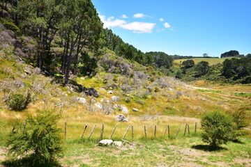 Rocky paddock with dry grass and shrubs and wire fence falling apart due to lack of maintenance.